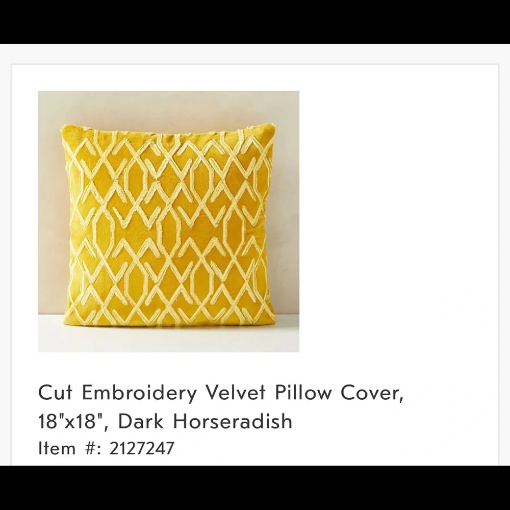West Elm Velvet Pillow Covers